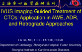Intravascular Imaging-Guided Treatment of CTOs: Application in AWE, ADR, and Retrograde Approaches