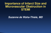 Importance of Infarct Size and Microvascular Obstruction in STEMI