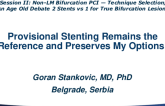 An Age-Old Debate: 2 Stents vs. 1 for True Bifurcation Lesions - Provisional Stenting Remains the Reference and Preserves My Options!