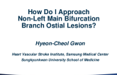 How Do I Approach Non-Left Main Bifurcation Branch Ostial Lesions?