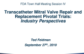 Transcatheter Mitral Valve Repair and Replacement Pivotal Trials: Industry Perspectives