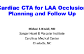 Utility of CT for Pre-Procedural Planning and Device Selection