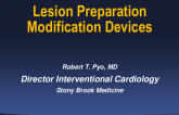 Lesion Preparation/Modification Devices