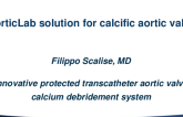 Aortic Valve Intervention and Ancillary Solutions I: Featured Technological Trends - Innovative Protected Transcatheter Aortic Valve Calcium Debridement System (AorticLab)