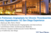 Balloon Pulmonary Angioplasty ?— US Experience