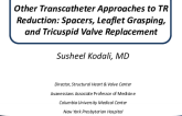 Other Transcatheter Approaches to TR Reduction: Spacer, Leaflet Grasping, and Tricuspid Valve Replacement