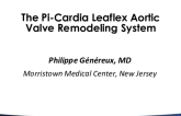 Innovation Gone Wild - The Pi-Cardia Leaflex Aortic Valve Remodeling System