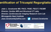 Quantification of Tricuspid Regurgitation
