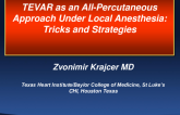 TEVAR as an All-Percutaneous Approach Under Local Anesthesia: Tricks and Strategies