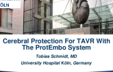 Aortic Valve Intervention and Ancillary Solutions I: Featured Technological Trends - A Novel Left Transradial Cerebral Protection System for TAVR (The ProtEmbo System)