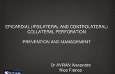 Epicardial (Ipsilateral and Contralateral) Collateral Perforation: Prevention and Management