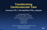 Overview of the HeartFlow Analysis