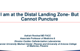 I Am at the Distal Landing Zone but Can't Puncture: What Now?