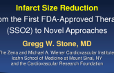 Infarct Size Reduction: From the First FDA-Approved Therapy (SSO2) to Novel Approaches