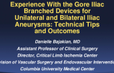 Real-World Multicenter Experience With the Gore Iliac Branched Devices for Unilateral and Bilateral Iliac Aneurysms: Technical Tips and Outcomes