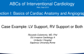 Case Example: LV Support, RV Support, or Both?
