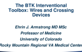 The BTK Interventional Toolbox: Wires and Crossing Devices