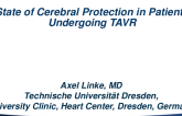 State of Cerebral Protection in Patients Undergoing TAVR