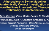 TCT 59: Atherosclerotic Swine Model for Anatomically Correct Investigation of Below-the-Knee Interventional Therapies: Preliminary Characterization