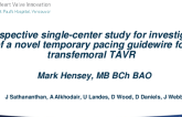 A Prospective Single-Center Study for Investigation of a Novel Temporary Pacing Guidewire for Transfemoral Transcatheter Aortic Valve Replacement