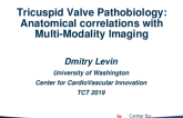 Tricuspid Valve Pathobiology: Anatomical Correlations With Multi-Modality Imaging