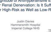 Magnitude of Antihypertensive Effect After Renal Denervation: Is It Sufficient for High-Risk as Well as Low-Risk Patients?