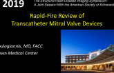 Rapid-Fire Review of Transcatheter Mitral Valve Devices