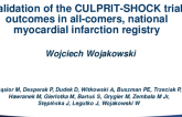 Multivessel Intervention in Shock: Validation of the CULPRIT-SHOCK Trial Outcomes in a National Myocardial Infarction Registry