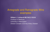 CTO Wires: Antegrade and Retrograde Case Examples