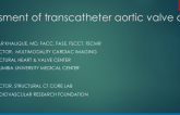 Assessment of Transcatheter Aortic Valve Area