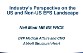 Industry’s Perspectives on the US and Non-US EFS Landscape