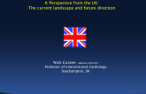 A Perspective From the UK: The Current Landscape and Future Direction