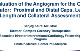 Angiogram Performance and Evaluation for the CTO Operator: Proximal Cap, Distal Cap, Lesion Length, and Collateral Assessment
