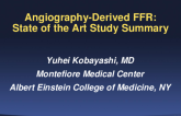 Angiography-Derived FFR: State of the Art Study Summary