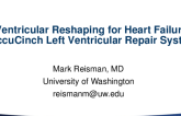 Ventricular Reshaping for HF: ANCORA