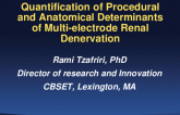 TCT 81: Quantification of Procedural and Anatomical Determinants of Multi-electrode Renal Denervation