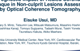 TCT 15: Prognostic Impact of Healed Coronary Plaque in Non-culprit Segments Assessed by Optical Coherence Tomography