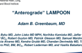 TCT 92: Antegrade LAMPOON (Intentional Percutaneous Laceration of the Anterior Mitral Leaflet to Prevent Outflow Obstruction): A Novel Modification of the Previously Described Retrograde LAMPOON, is a Technically Feasible, Reproducible, Effective and Safe