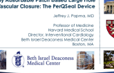 Novel Large-Hole Access Closure Devices - Large-Hole Transfemoral Closure I: The PerQseal Device