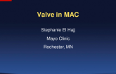 Case-Based Heart Team Presentations - Case #2: Mitral Valve-in-MAC