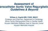 Assessment of Transcatheter Aortic Valve Regurgitation: Guidelines and Beyond
