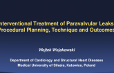 Interventional Treatment of Paravalvular Leaks: Procedural Planning, Technique, and Outcomes