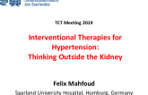 Interventional Therapies for Hypertension: Thinking Outside the Kidney