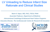 LV Unloading to Reduce Infarct Size