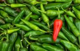 Higher Chili Pepper Consumption Linked to Fewer CVD Deaths 