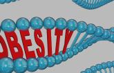 Genetics Only Weakly Predicts Midlife BMI for Young Adults