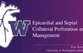 Epicardial and Septal Collateral Perforation and Management