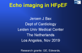 Echo imaging in HFpEF
