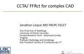  CCTA/ FFRct for complex CAD