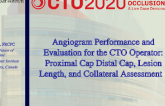 Angiogram Performance and Evaluation for the CTO Operator: Proximal Cap, Distal Cap, Lesion Length, and Collateral Assessment — Case Examples